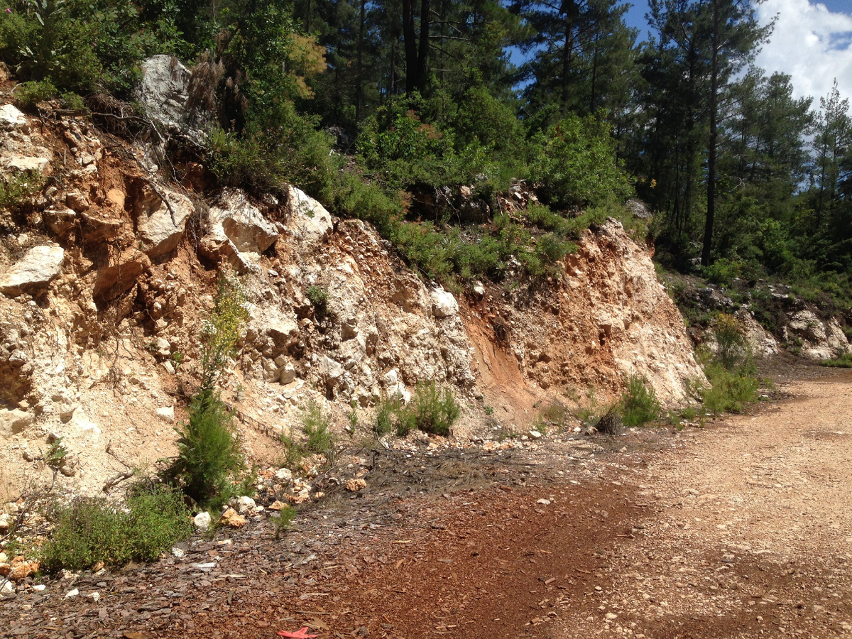 Грунтовая дорога