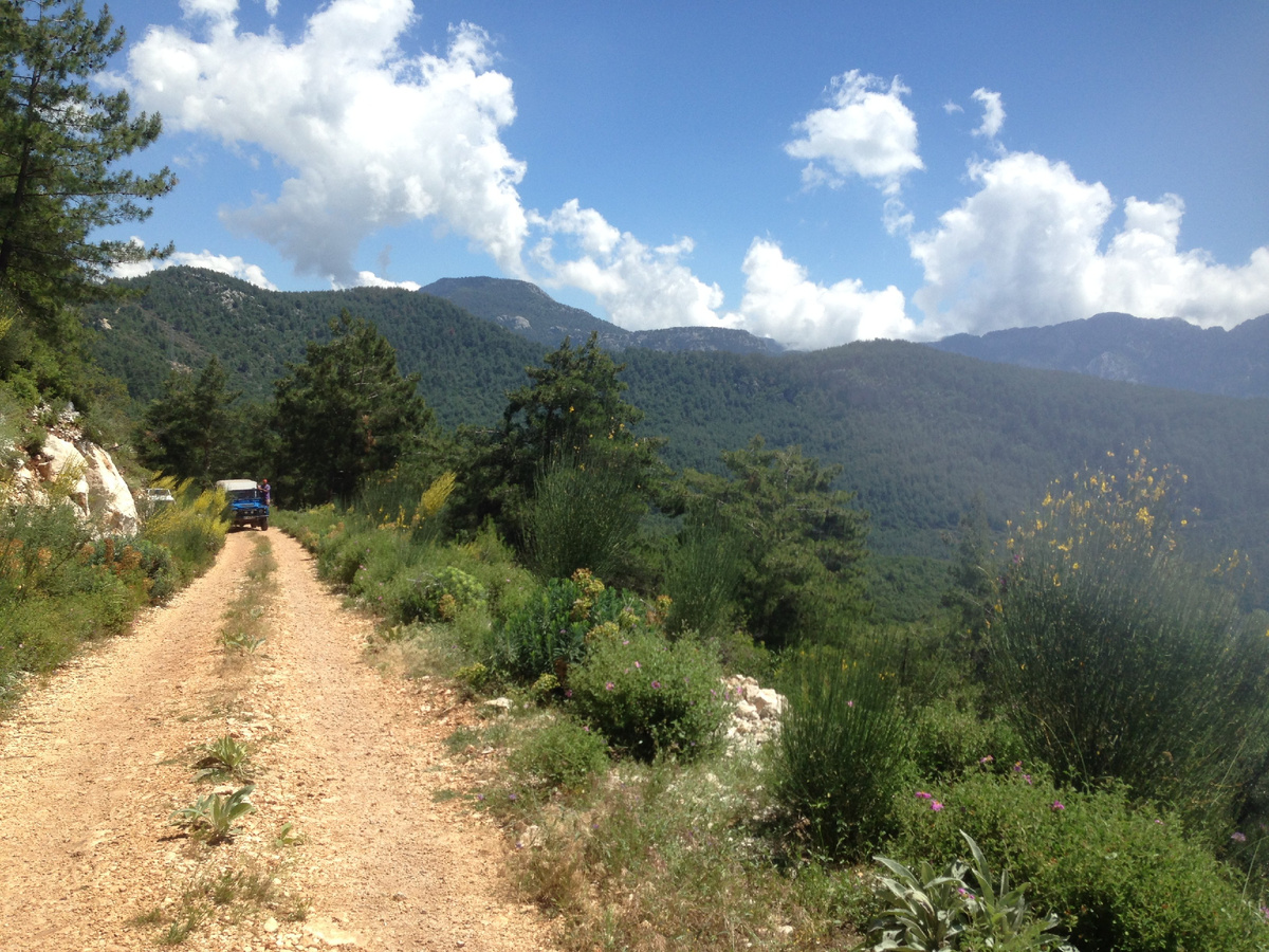 Горная грунтовая дорога