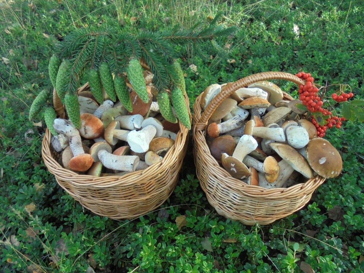 Автор фото Анна Л.