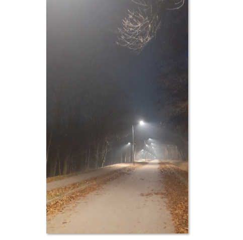 Смог в парке