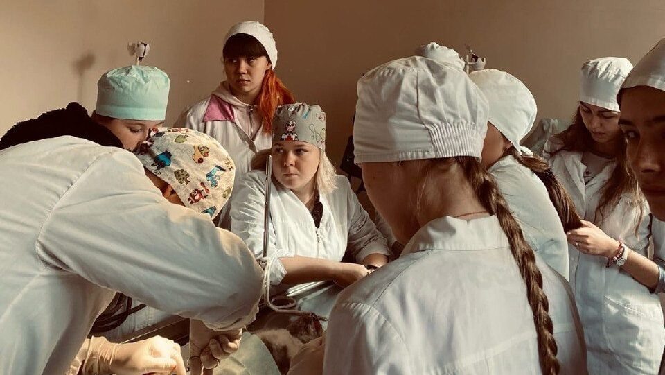    Фото из архива проекта