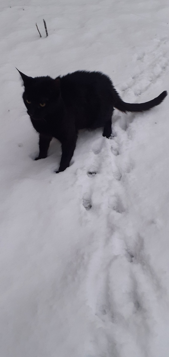 фото хозяйки Кузеньки Тани