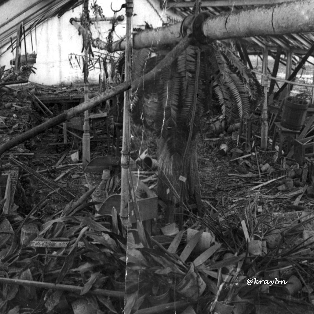 Разрушенная оранжерея Ботанического сада, 1941 год