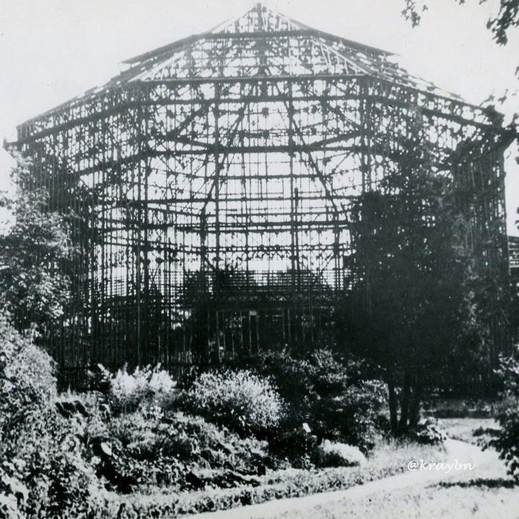Разрушенная оранжерея Ботанического сада, 1941 год