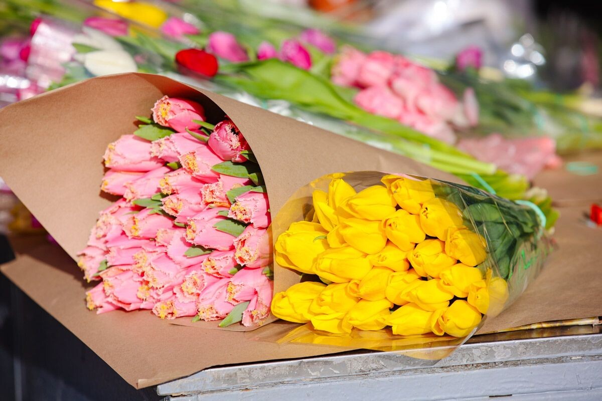    Снимок носит иллюстративный характер. Фото: Tochka.by