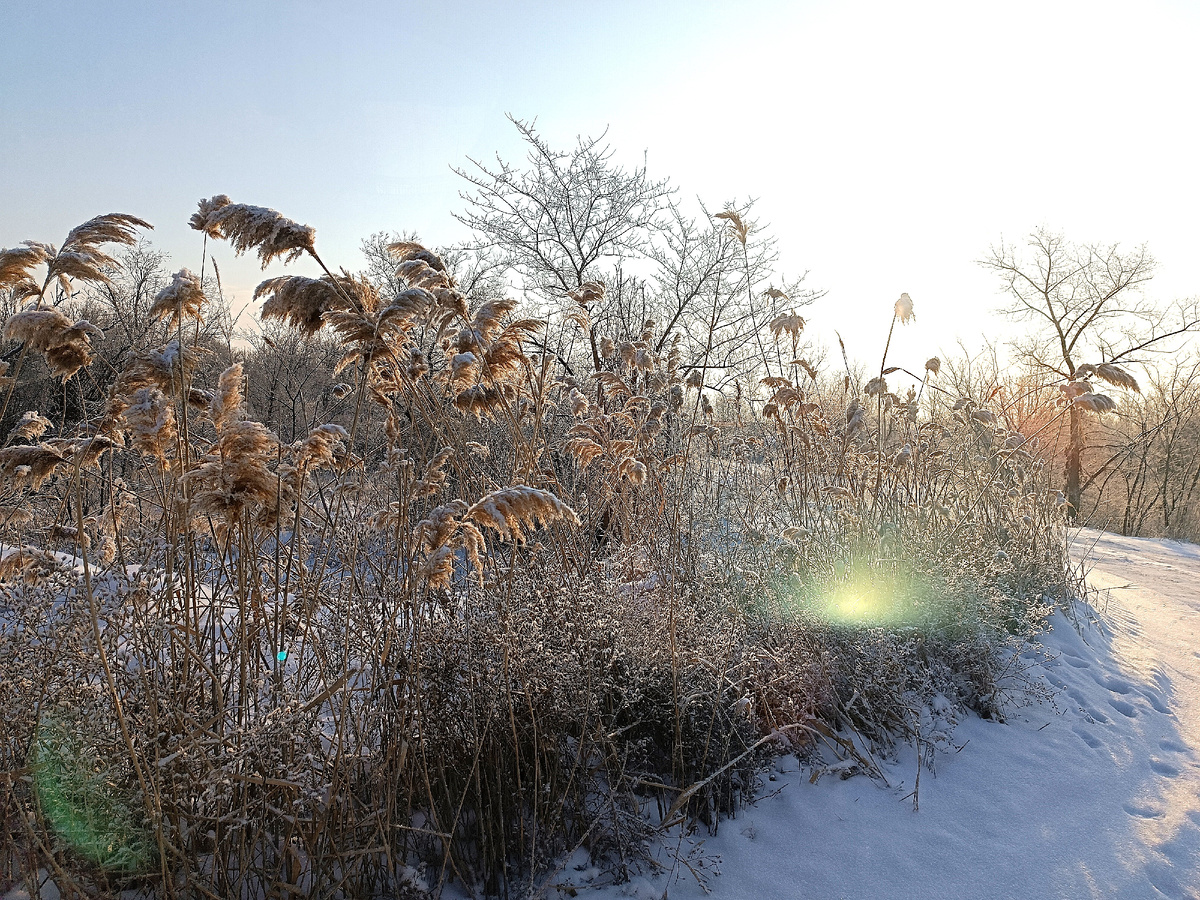 28 февраля 2025 г. в Волгограде