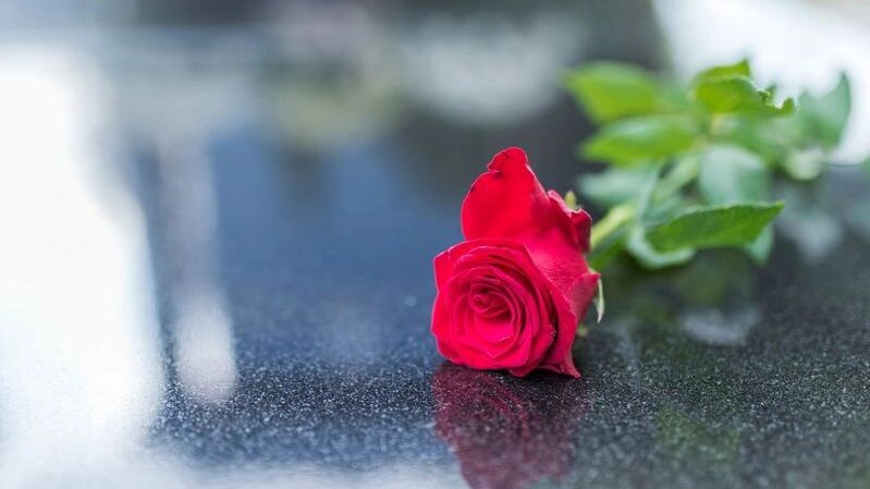    Фото: Dragana Gordic/Shutterstock/Fotodom