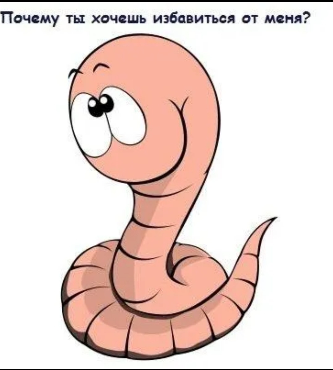 Картинка с просторов 