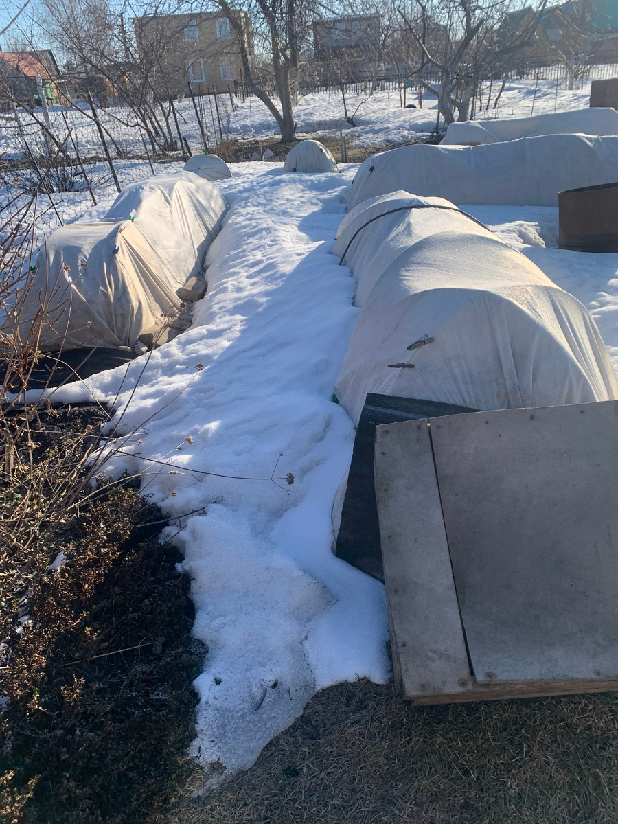 розарии, все фото автора.