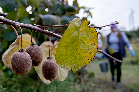 Фото: Дмитрий Феоктистов/ТАСС
