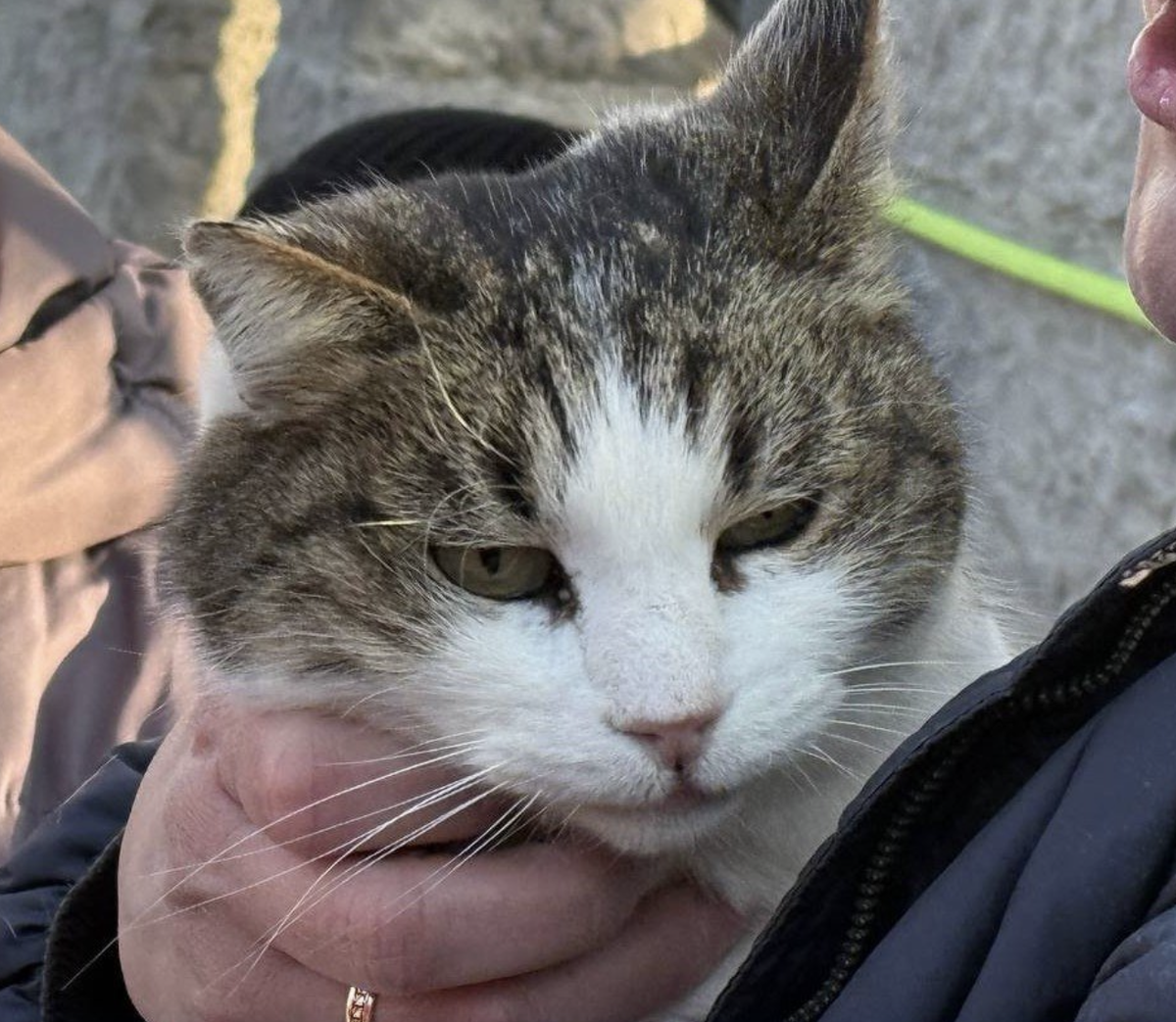 Фото: глава администрации Ялты Янина Павленко