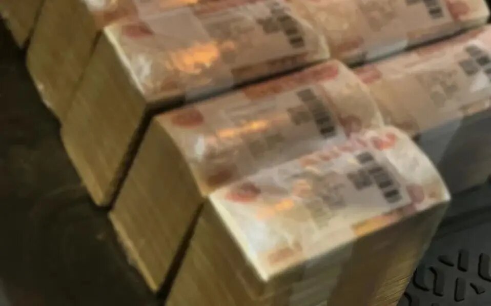    Фото: ГУ МВД по Петербургу и Ленобласти