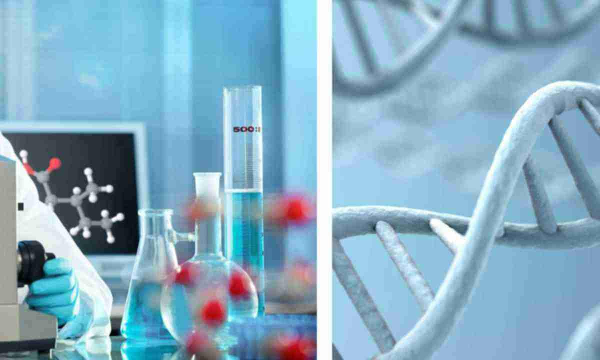    ДНК анализ и тайны первых жителей Новой Зеландии