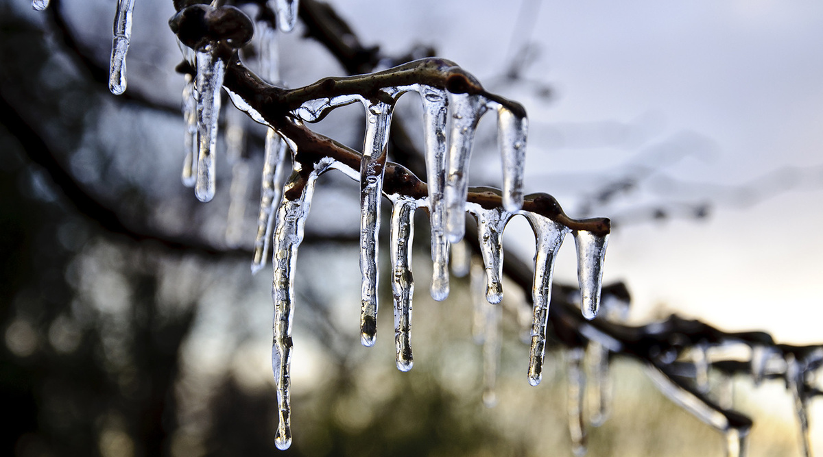 Неслучайно мы очень ждем весну, потому что весна - это про наступающие перемены, время обновления. Изображение взято с просторов интернета