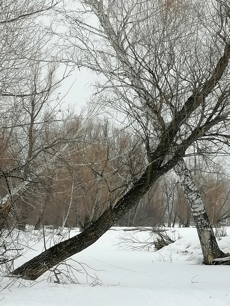 Унылый зимний пейзаж, или мне так кажется. 