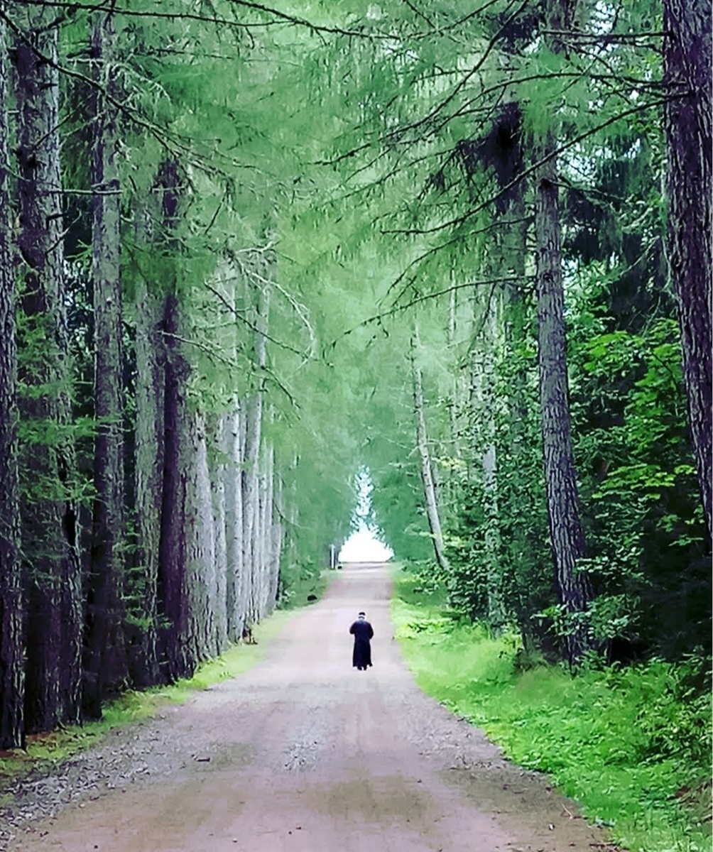 Валаам. Главная аллея.