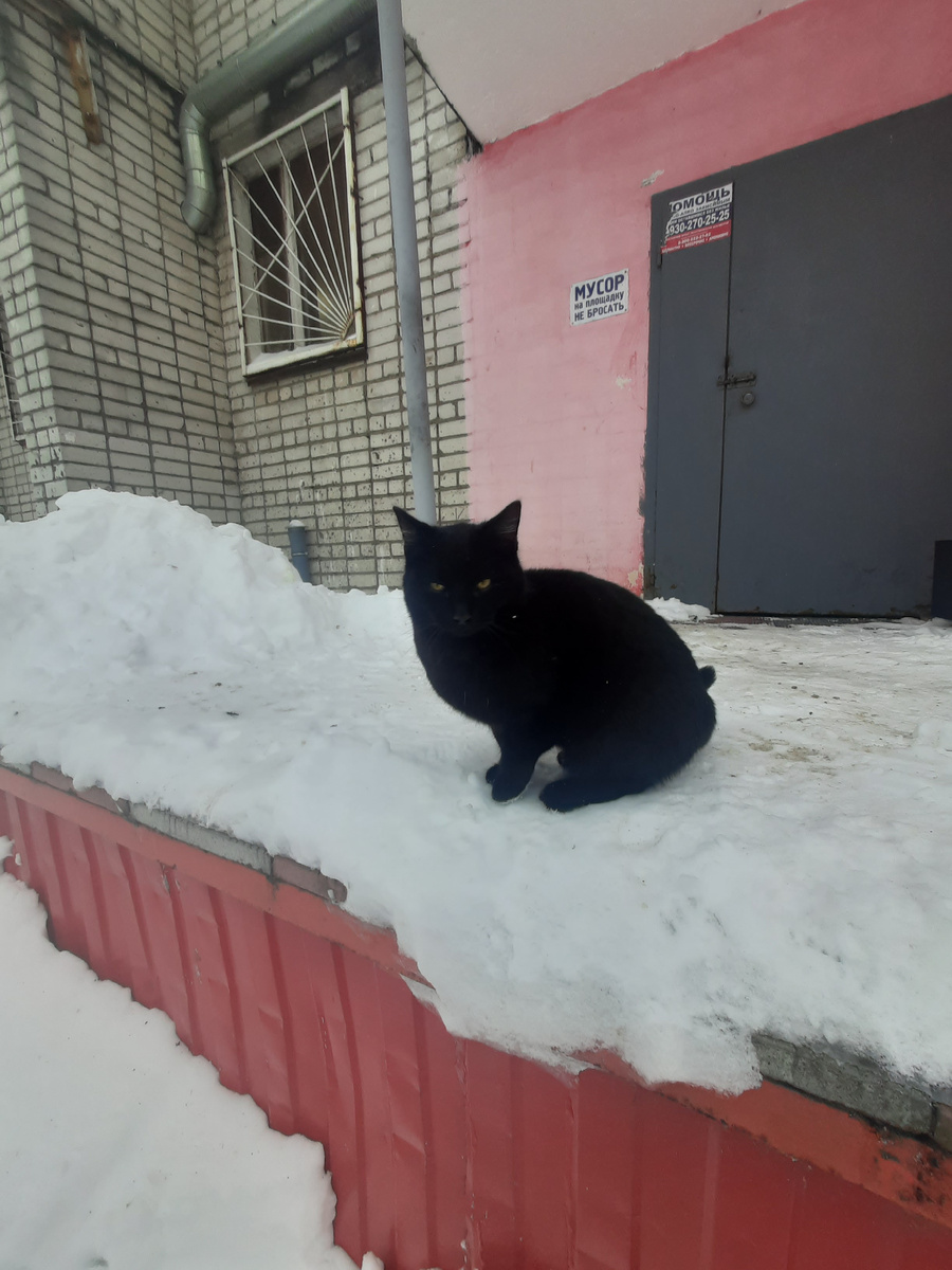 Миша зиму пережил, а его сестра Груша пропала😒