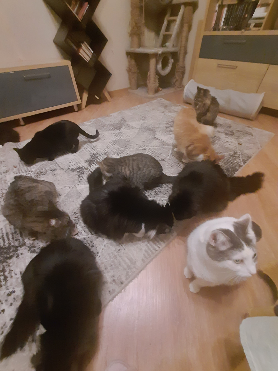 На любой вкус