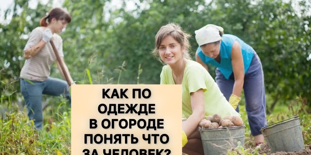 Как по одежде в огороде понять, что за человек?