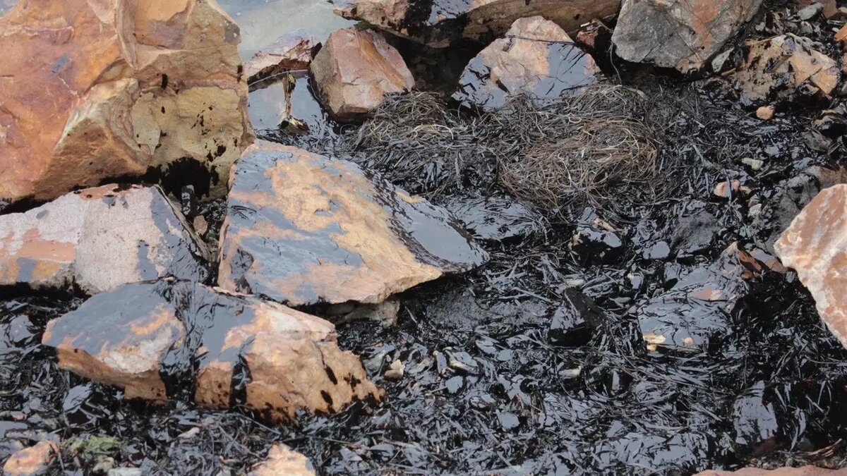     Источник: 1MI