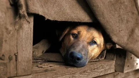 фото из открытого источника