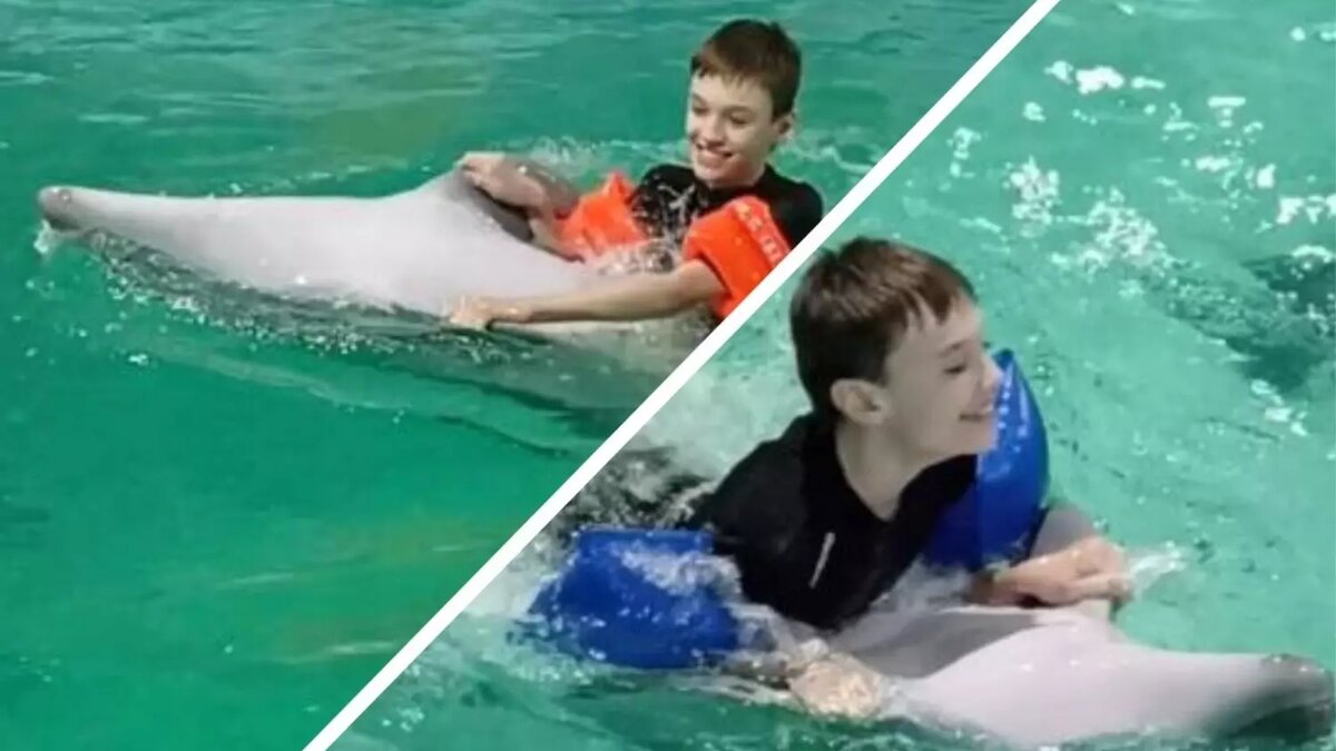     Источник: Волгоградское отделение Детского Фонда