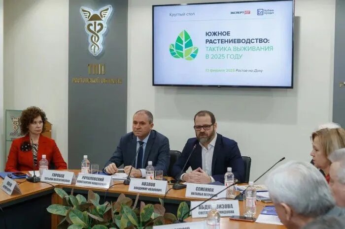 Как выживает и чего ждет агробизнес от 2025 года — обсудили за круглым столом «Южное растениеводство: тактика выживания в 2025 году». // Фото: «Эксперт Юг»