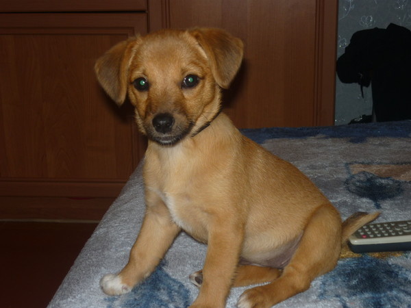 фото из открфтого источника