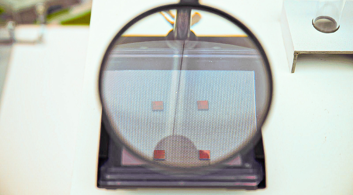 Что-то мелкое с выставки форума, наверное, оптический чип. Но это не точно )))