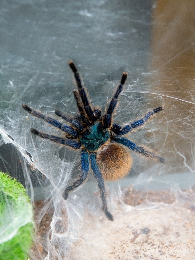     Фото пресс-службы ВСМЗ