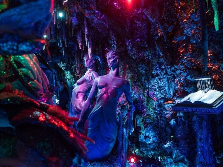     Фото предоставлено Оксаной Гордишевской.