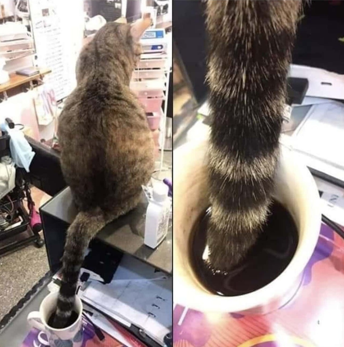 Источник: ranker.com