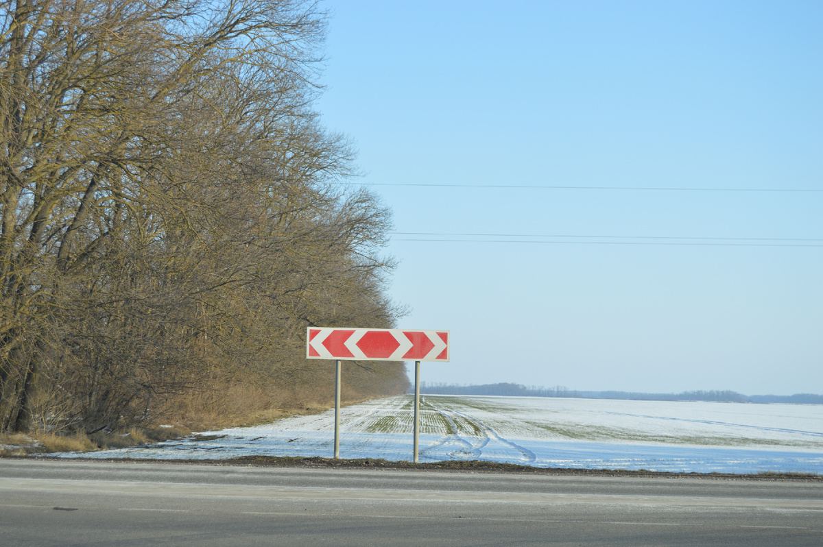 Фото автора. 26.02.2025. Станица. Поля агрофирмы.