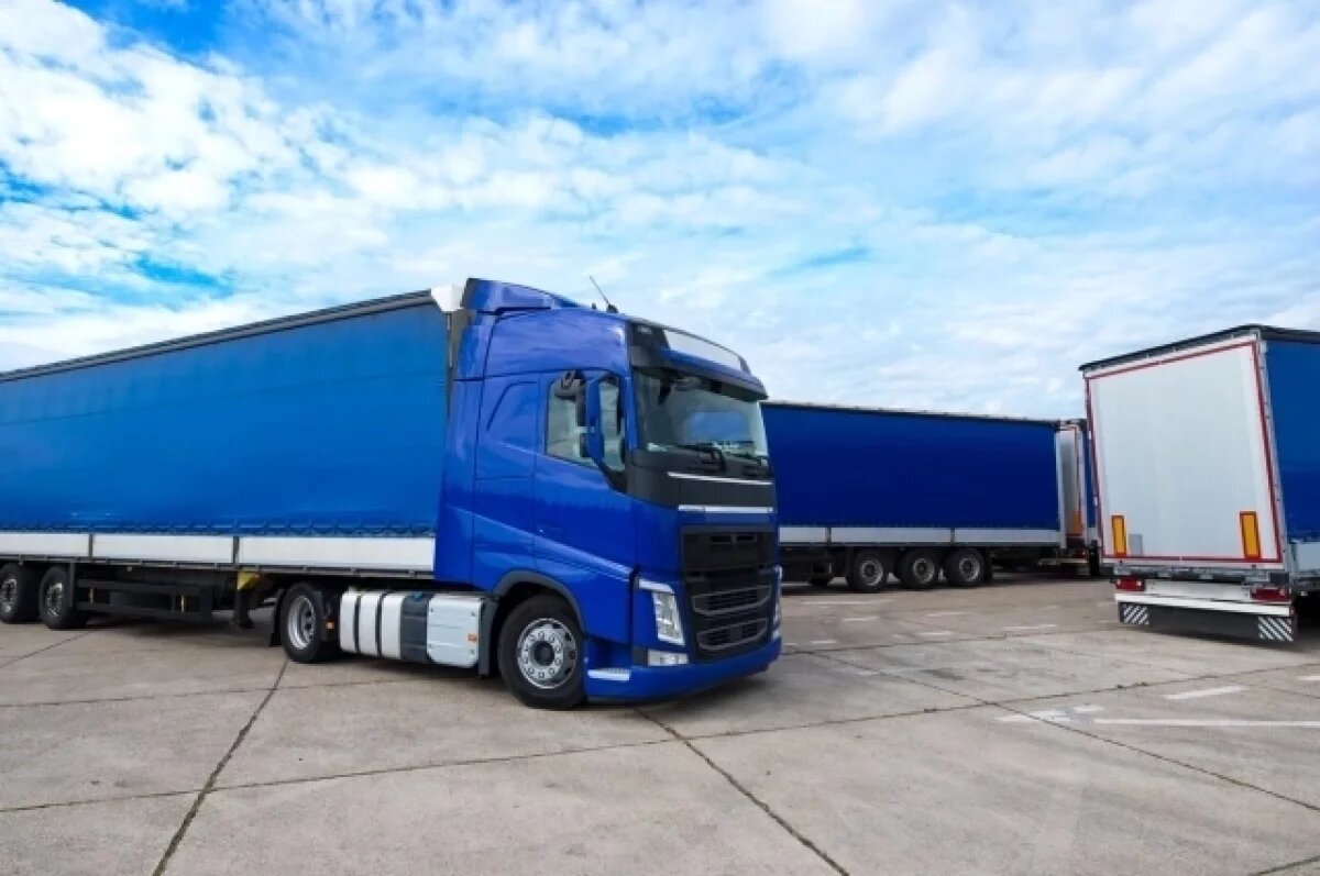    Три пункта весового контроля в Воронежской области начнут штатную работу