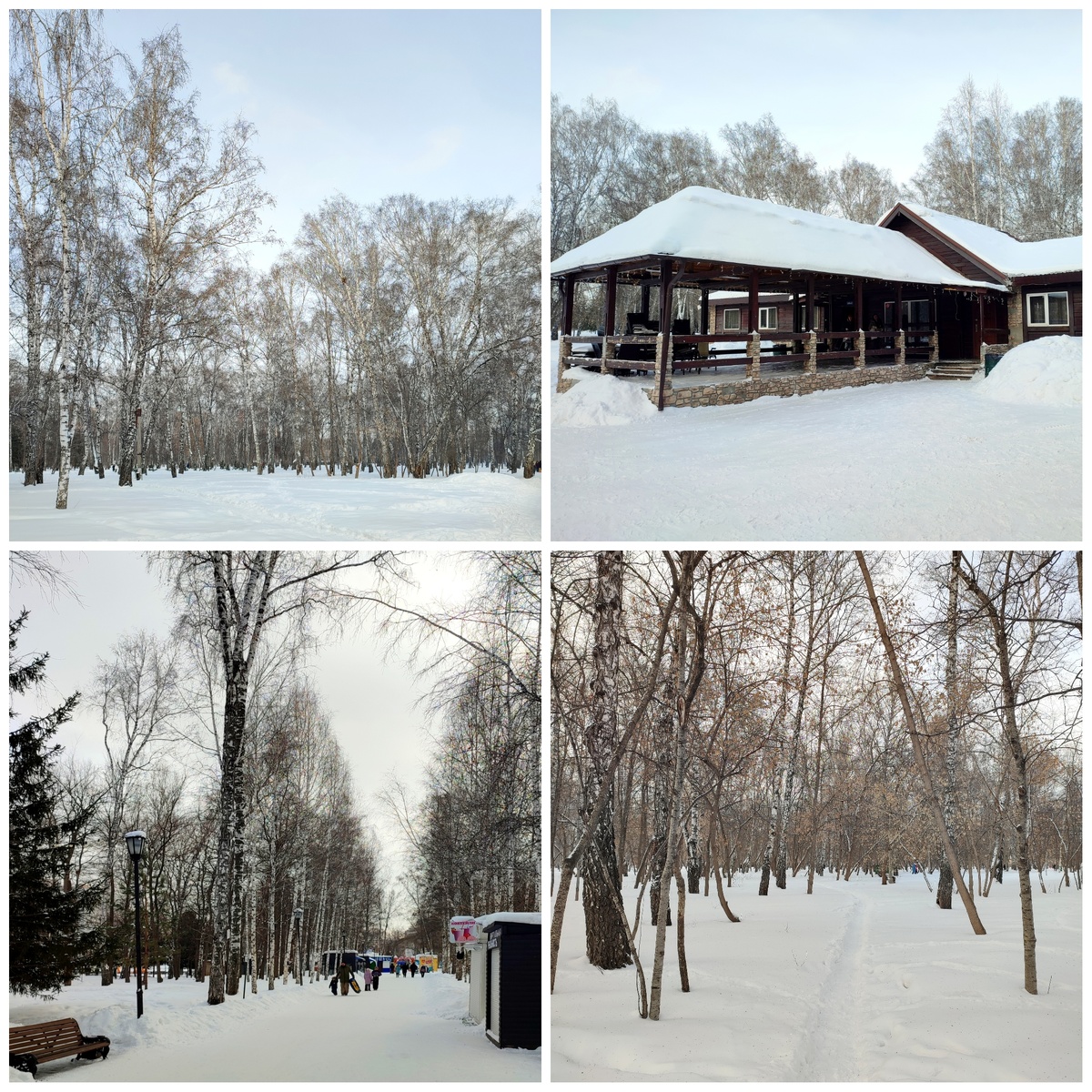 Сразу в плюс парку его большая зеленая (летом 😄) территория