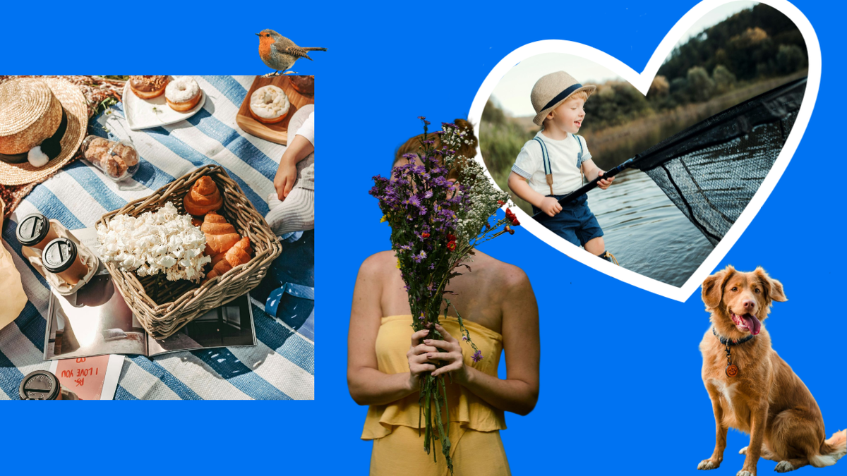 Вайбы Новоселья - это звуки леса, шум воды и купающихся в озере, луговые цветы, пикники и рыбалка. А ещё возможность завести большую собаку, с которой можно исследовать родные просторы.