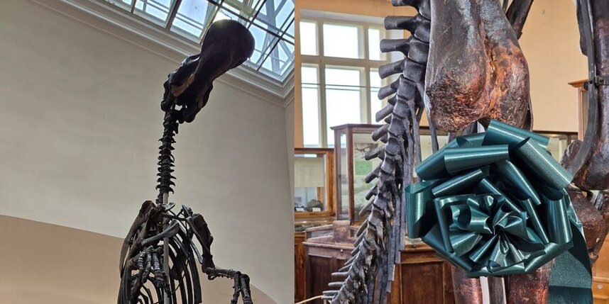    t.me/karpinskyinstitute