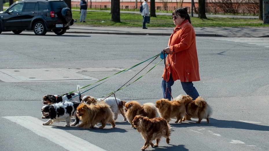    Автор фото: Ермохин Сергей/"ДП"