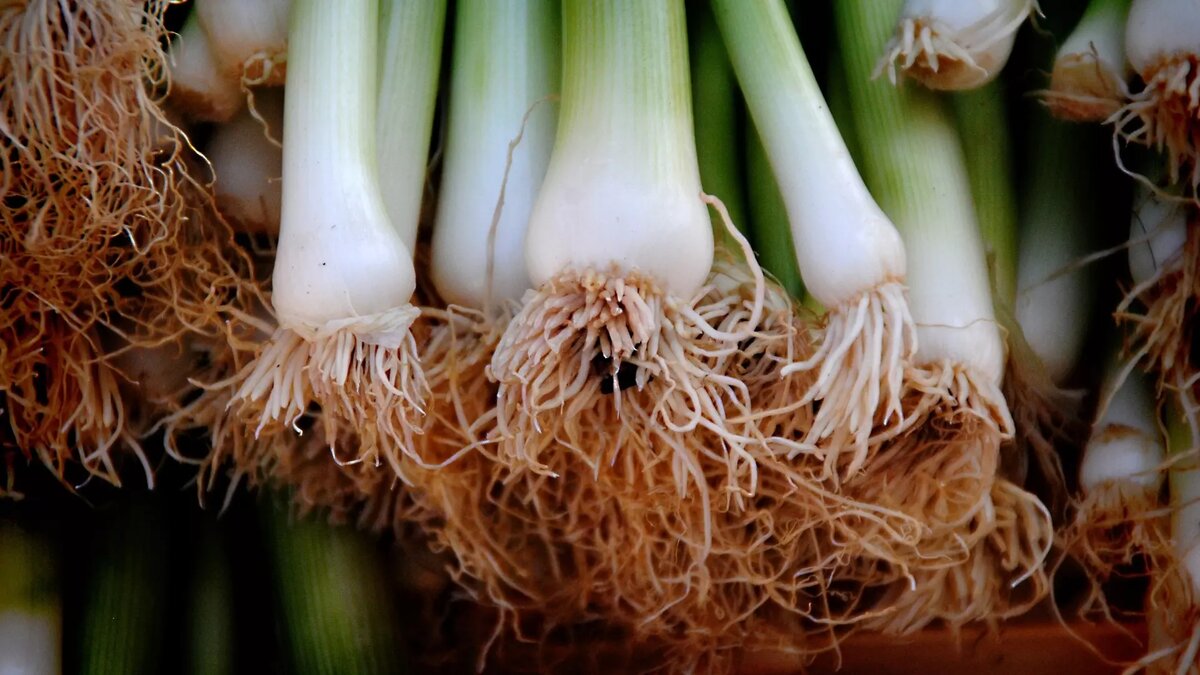     Источник: pxhere