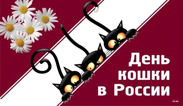 День кошек в России: праздник пушистых любимцев