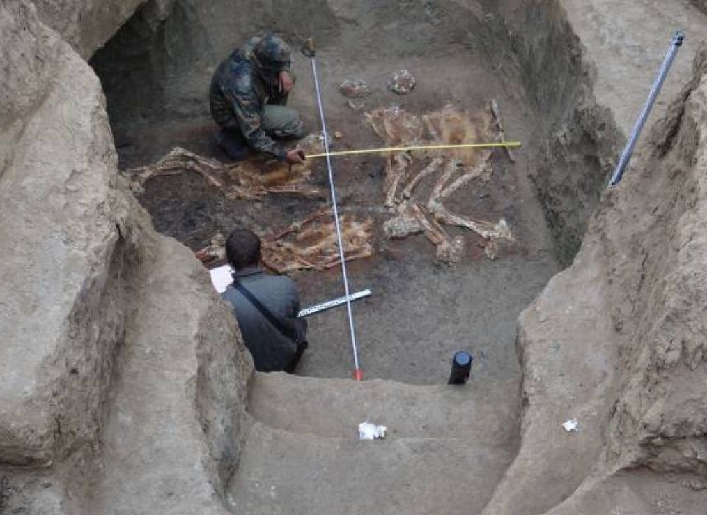 Удивительная находка. (Фото: i.pinimg.com).