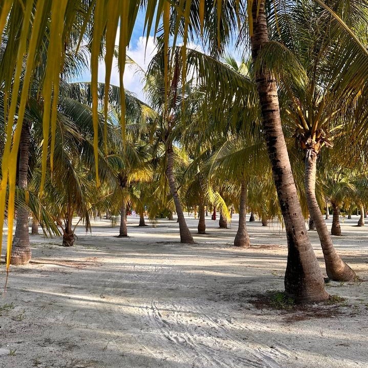 Территория Villa Park 5*