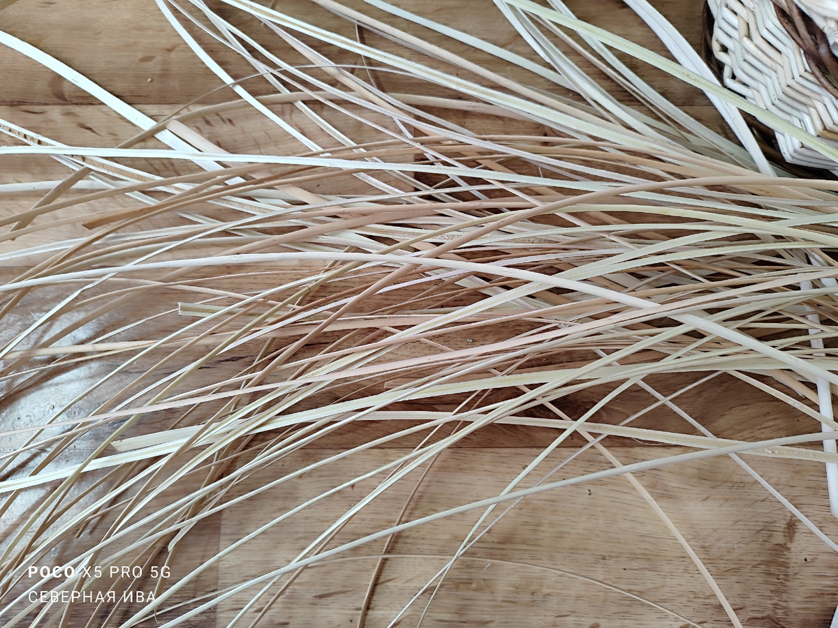 Ивовая лента