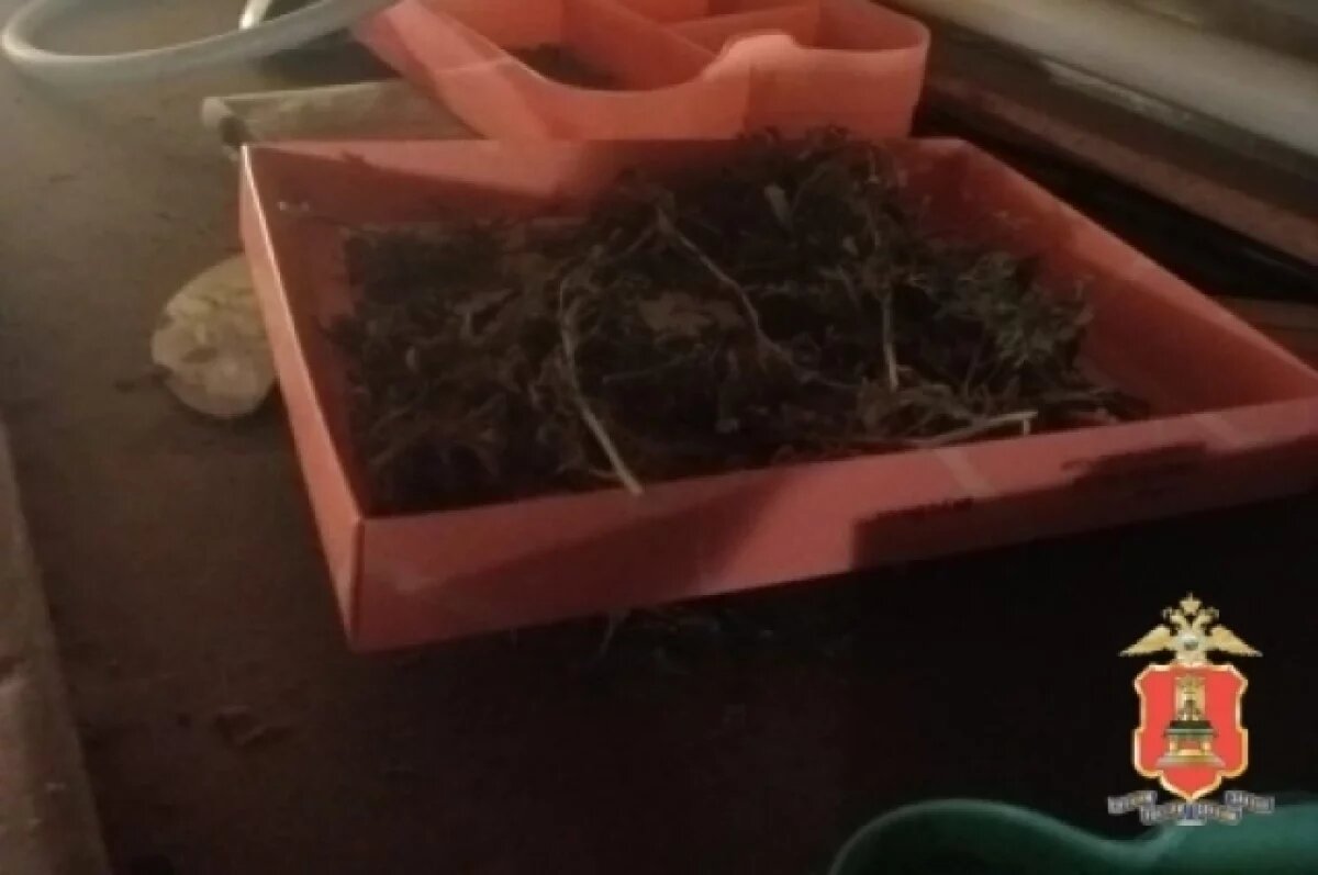    В Кимрах задержан мужчина с крупной партией наркотика