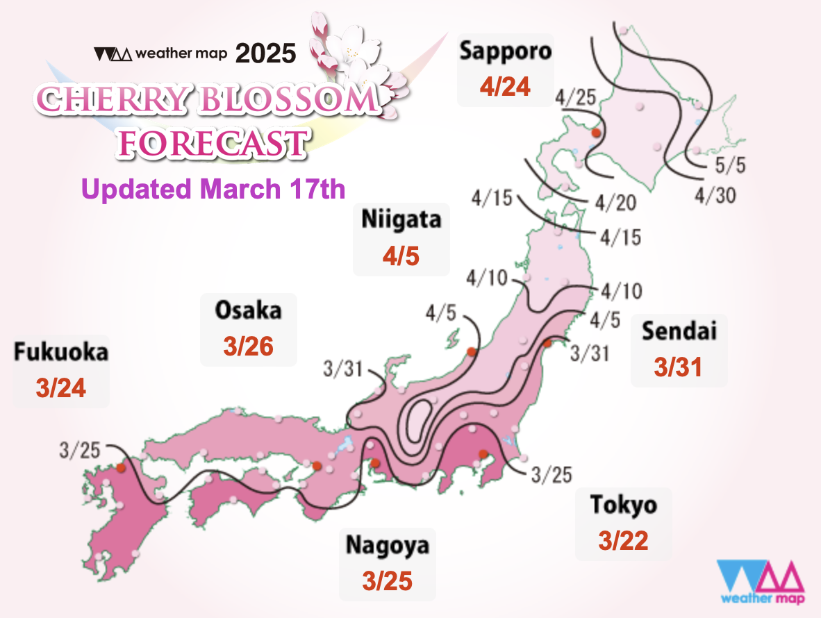 Для тех, кто собирается в этом году в Японию  - график цветения сакуры на 2025