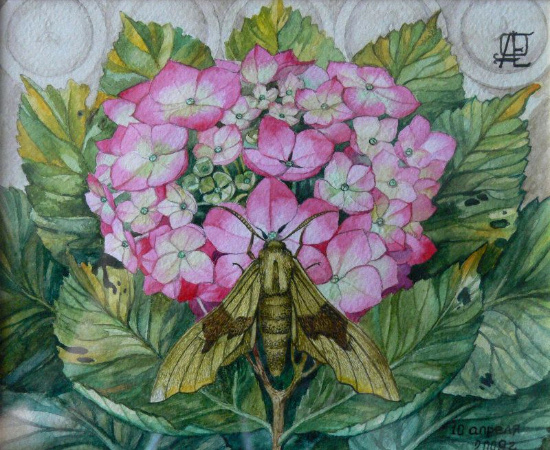   : filimonova-art.ru  lovers-of-art.livejournal.com