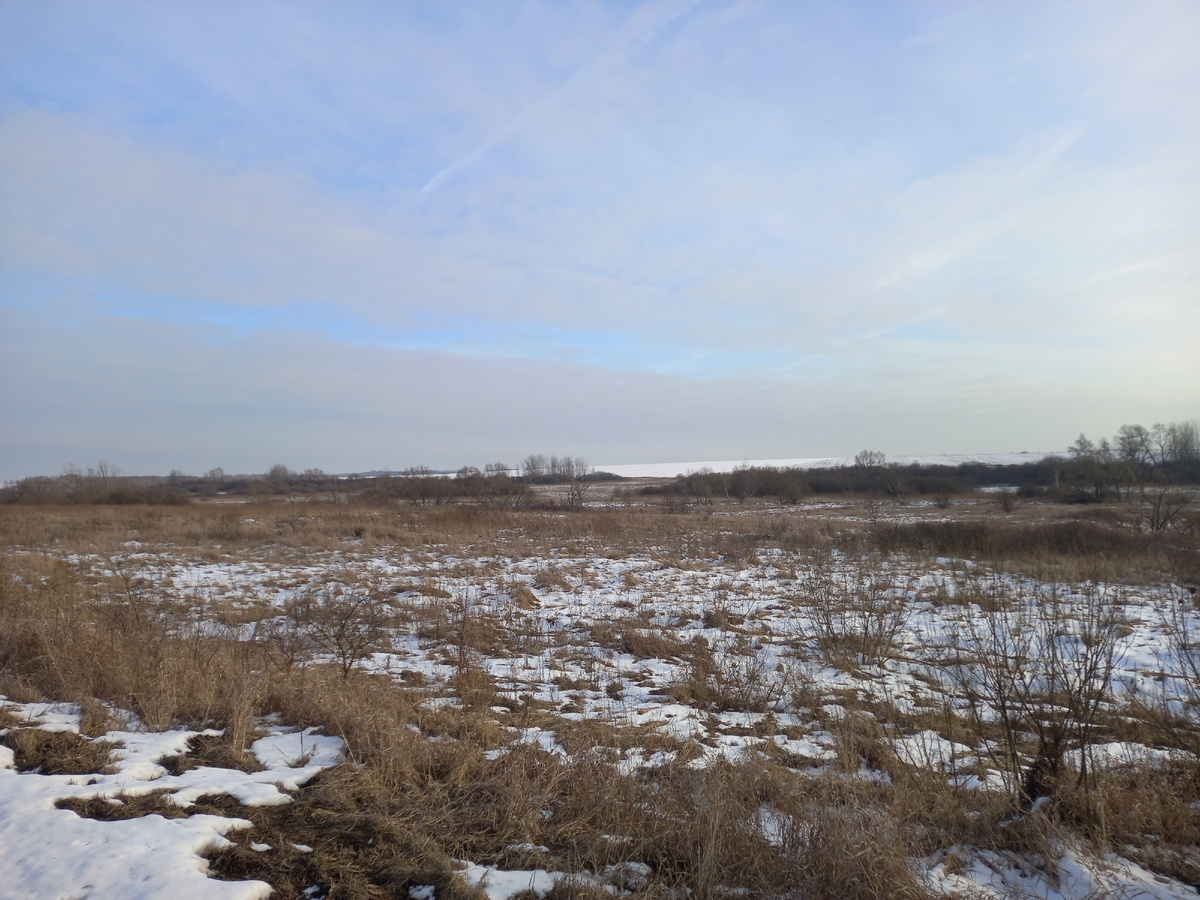 Снега почти нет, хотя морозы вполне зимние