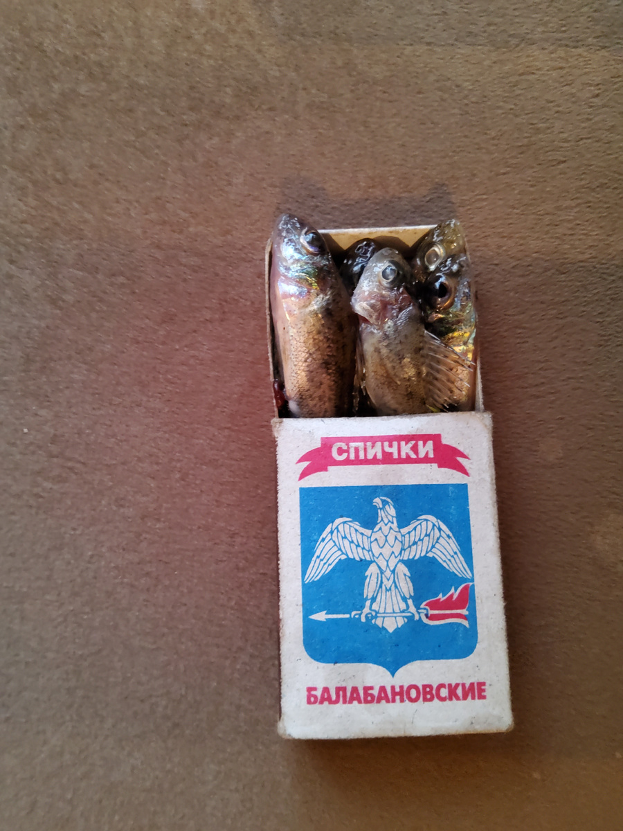 Февральская рыба на Рене