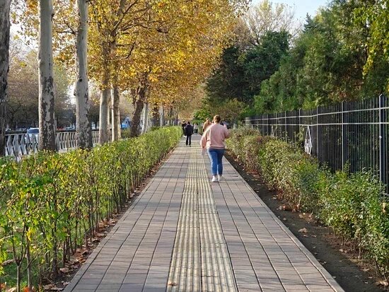    Фото: Юрий Серебренников/BFM Кубань