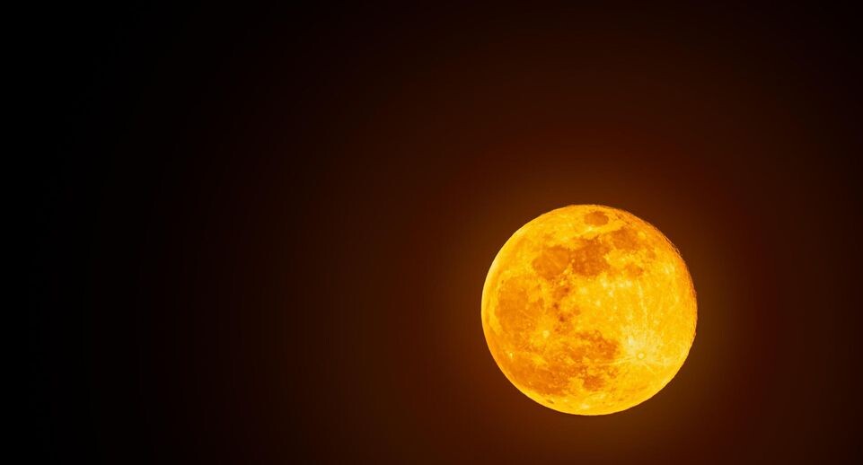    Przemyslaw Iciak/http://imagebroker.com/#/search/ / www.globallookpress.com